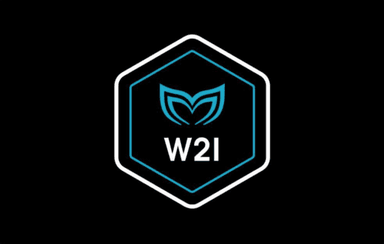 Molchanovs Wave 1-2 Instructor